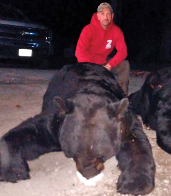 A very particular set of skulls: Melillo, back on his property with his record bear—measured and scored by its head size—and the smaller carcass from another hunter’s haul.